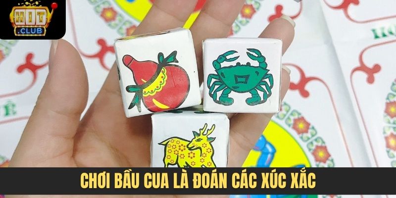 Chơi bầu cua là đoán các xúc xắc