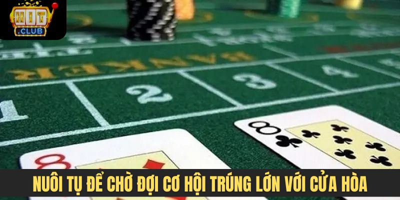 Nuôi tụ để chờ đợi cơ hội trúng lớn với cửa Hòa